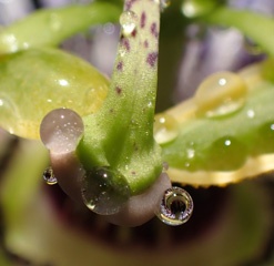 P1114305a.jpg